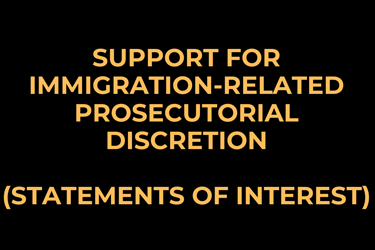 Support for Immigration-Related Prosecutorial Discretion (Statements of Interest)