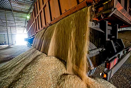 Truck unloading loose grain
