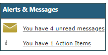 alerts and messages area in system. first shows messages, then shows action items